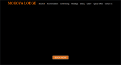 Desktop Screenshot of mokoya.co.za